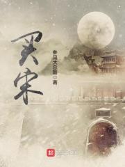 买宋Ldmi十大忠告 买宋Ldmi十大忠告