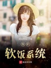 软饭流系统