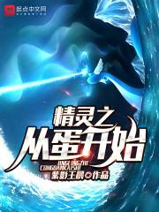 精灵之从一颗蛋开始