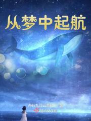 从梦中醒来是什么歌词