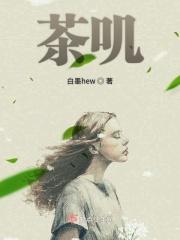 茶叽的团