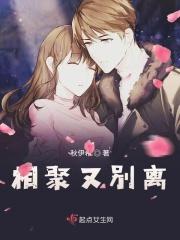 相聚又离开歌曲 相聚又离开歌曲