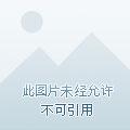 傲天邪帝