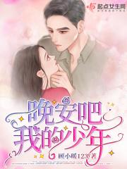 晚安吧我的少年是什么歌