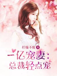 总裁慢点宠全免费