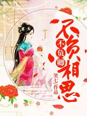不负相思不负卿歌词 不负相思不负卿歌词