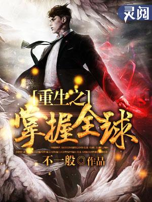 重生之掌控全球经济阅读