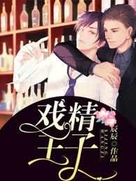 戏精王子 作者辰辰