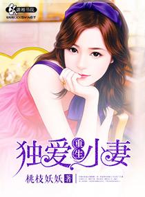独宠小男妻 独宠小男妻