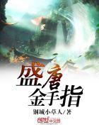 盛唐编辑器 盛唐编辑器