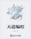 天道编程 public