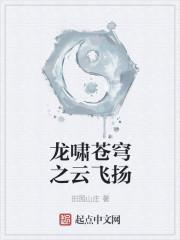 龙啸苍穹百度百科 龙啸苍穹百度百科