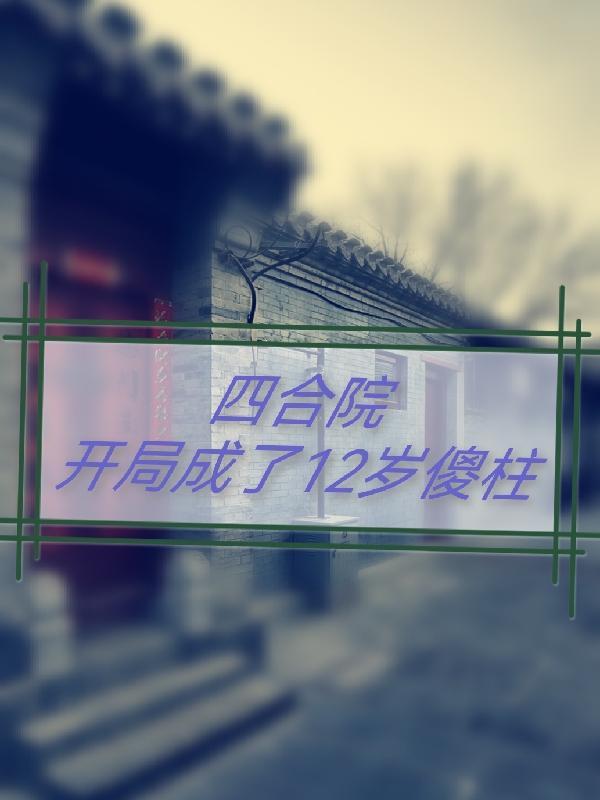 四合院开局成了傻柱他爹飞卢