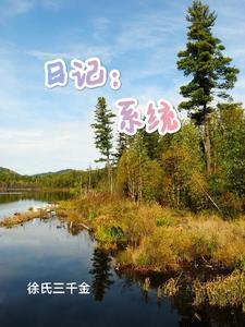 日记系统 穿越 日记系统 穿越