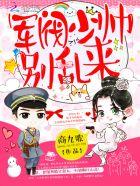 电视剧军阀少帅