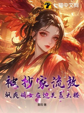 飒爽嫡女在边关盖大楼