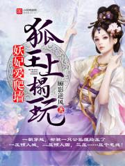 妖王妃全文免费阅读