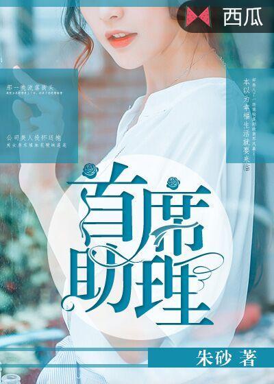首席助理教练