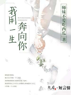 我用一生去追是什么歌