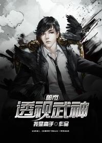 都市透视神眼秦风