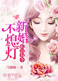新婚不熄灯介绍 新婚不熄灯介绍