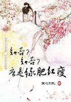 知否知否应是绿肥红瘦豆瓣 知否知否应是绿肥红瘦豆瓣