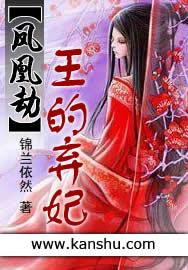 凤凰劫全文免费阅读