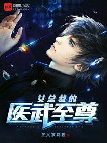 女总裁的医武至尊 精校版 女总裁的医武至尊 精校版