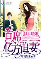 倾城暖婚首席亿万妻txt