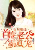 首席老公霸道宠宝贝继续顶点 首席老公霸道宠宝贝继续顶点