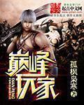 巅峰玩家 起点 巅峰玩家 起点