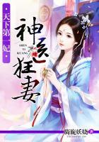天下第一神医女婿 天下第一神医女婿