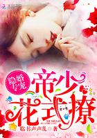 隐婚送萌宝帝少 隐婚送萌宝帝少