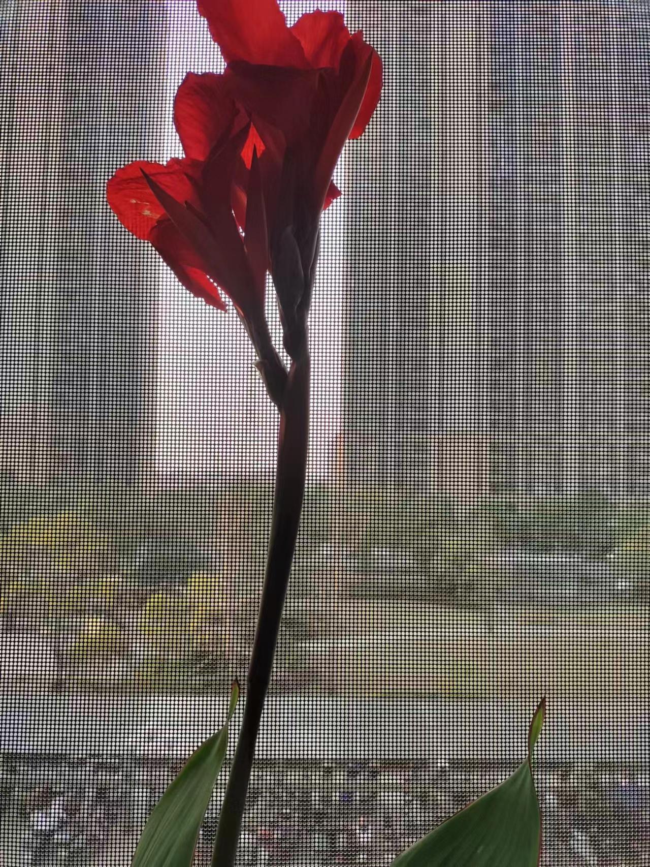 追梦逐行是什么意思