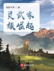 灵武家族崛起TXT 灵武家族崛起TXT