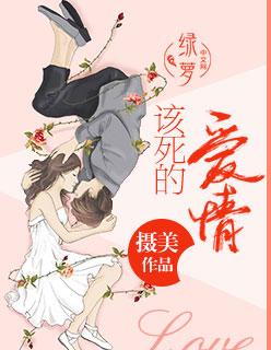 该死的爱情歌曲含义