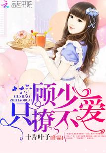 顾少轻宠最新章节