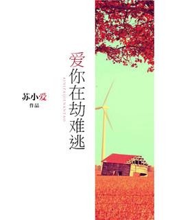 爱你在劫难逃 沈沉 叶以澜