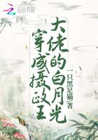 穿成摄政王后 穿成摄政王后