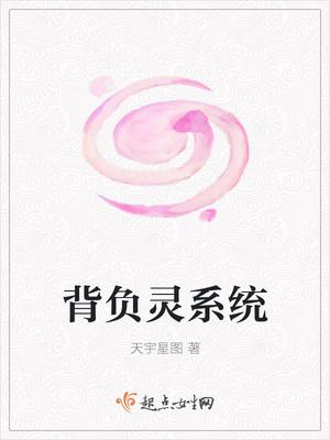 背负系统分类