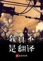 我真的不是翻译 我真的不是翻译