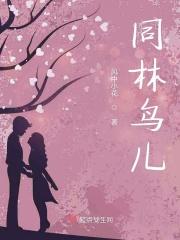 同林鸟猜生肖 同林鸟猜生肖