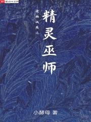 霍格沃茨之精灵巫师正版