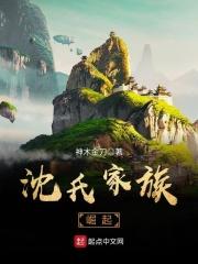 沈氏家族崛起 沈氏家族崛起