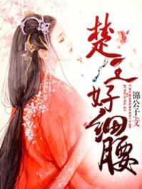 心有瑶光楚君意 心有瑶光楚君意