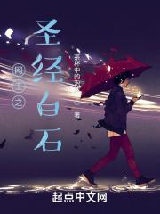 网王之圣经白石 网王之圣经白石