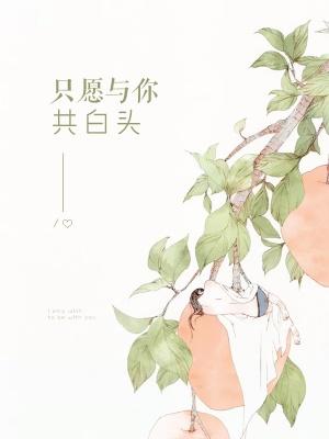 只愿与你共白头 只愿与你共白头
