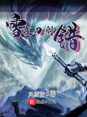 雪夜刀剑错 雪夜刀剑错