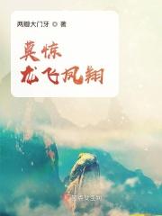 莫惊龙飞凤翔 莫惊龙飞凤翔