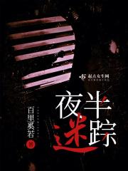 夜半迷踪 夜半迷踪